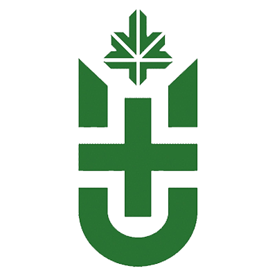 Дополнительный логотип